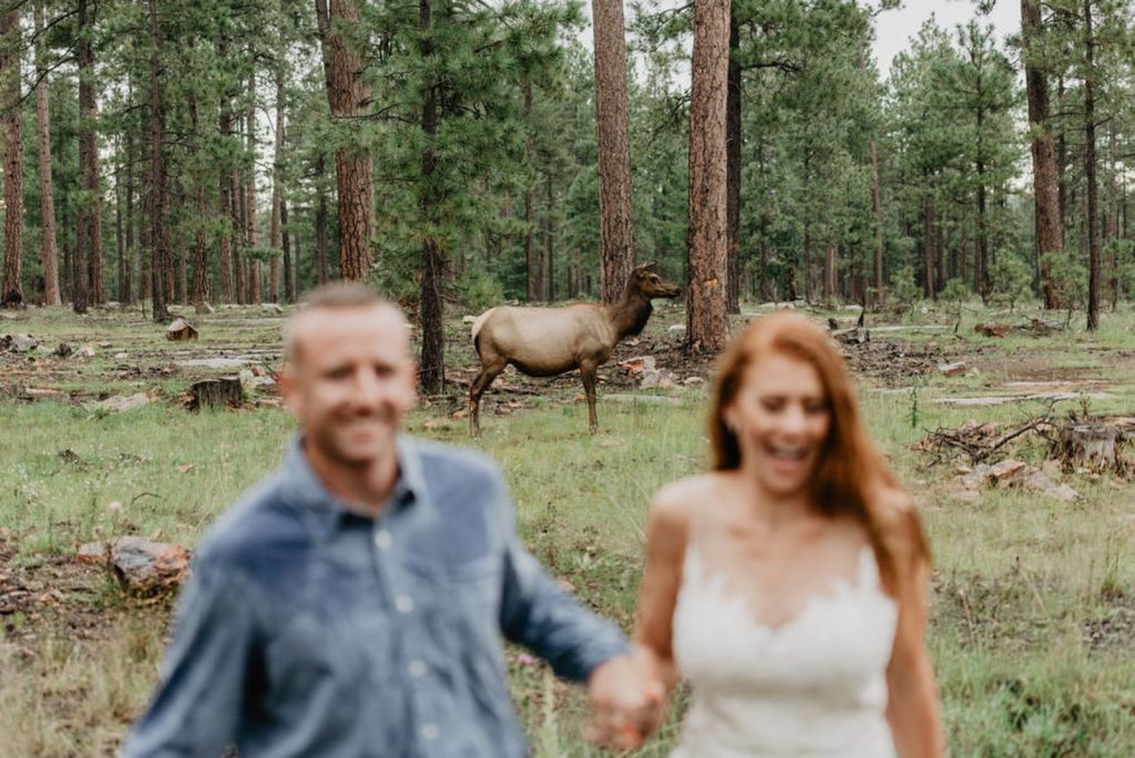 northern arizona mogollon rim elopement adventure wedding
