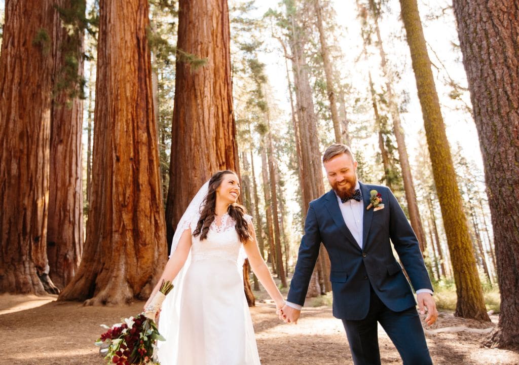 sequoia national park elopement