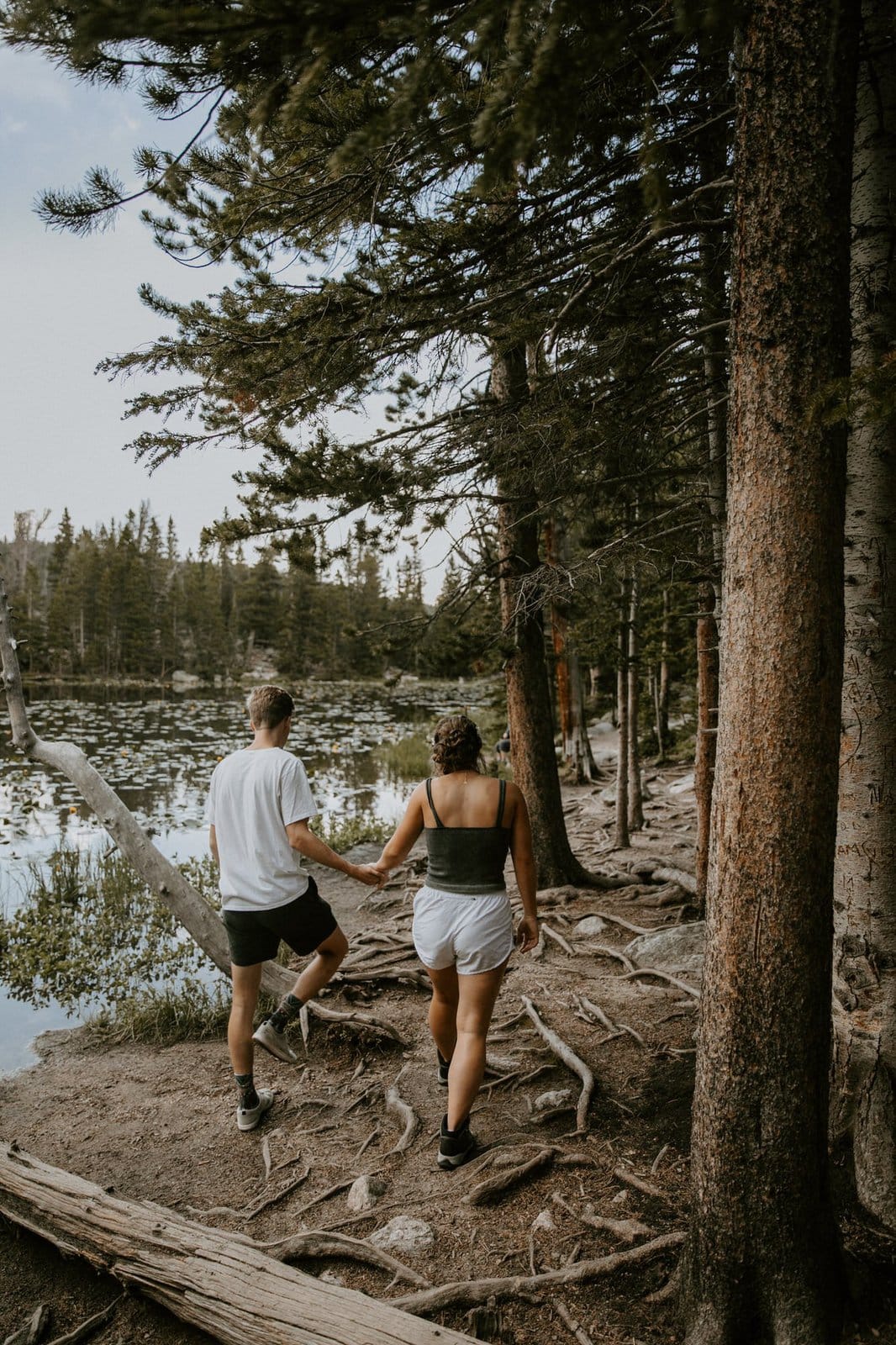 Bride and groom walking through national park.