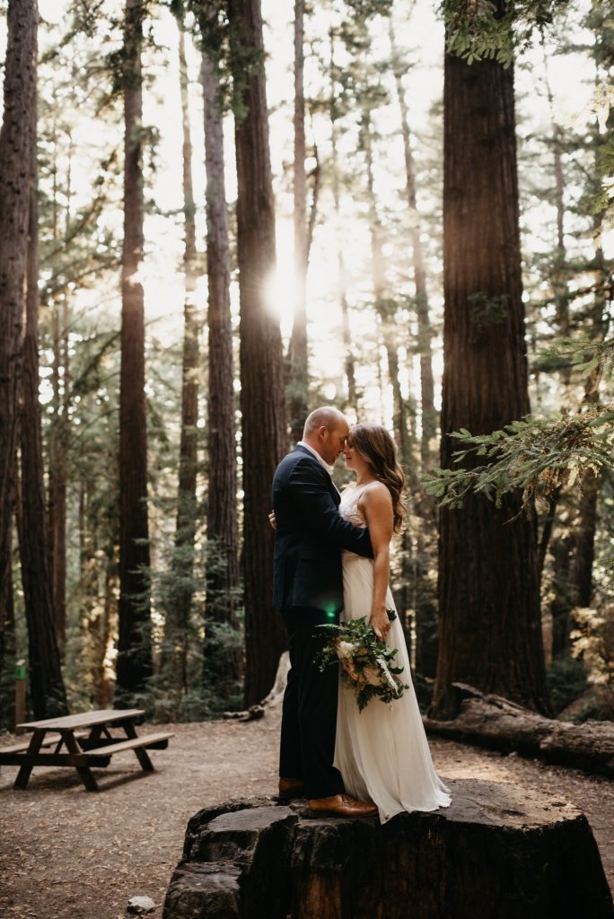 Big sur redwoods elopement