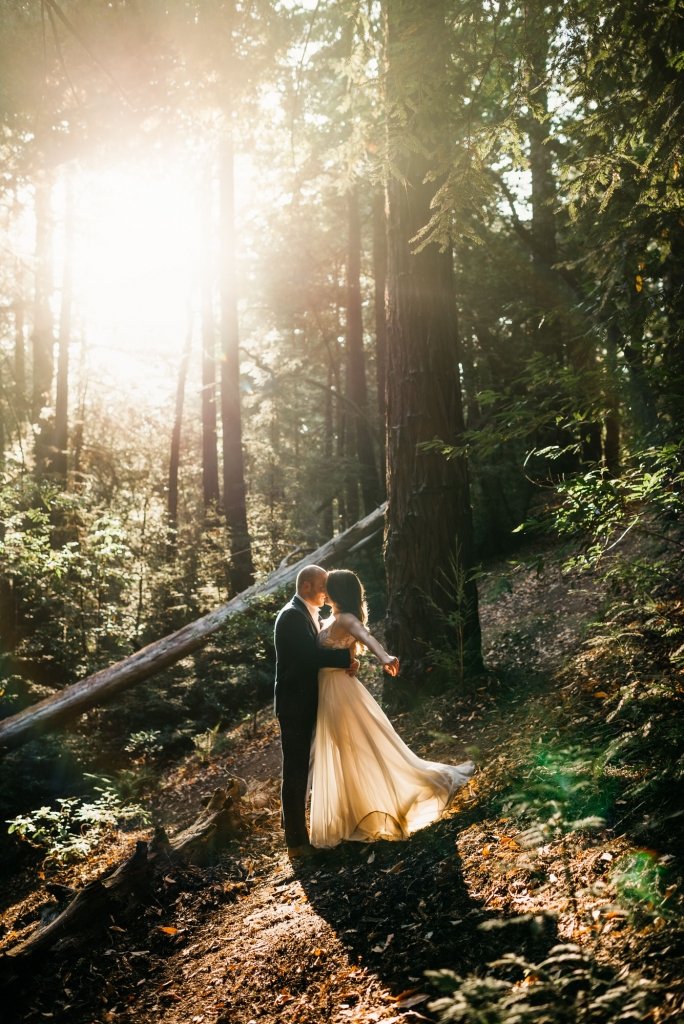 bride and groom in the redwoods