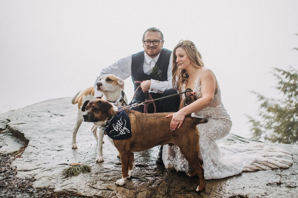 eloping with pets