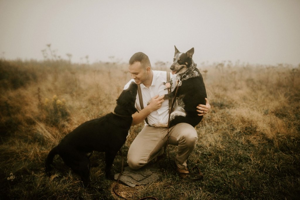 pets during elopement in Roan mountain