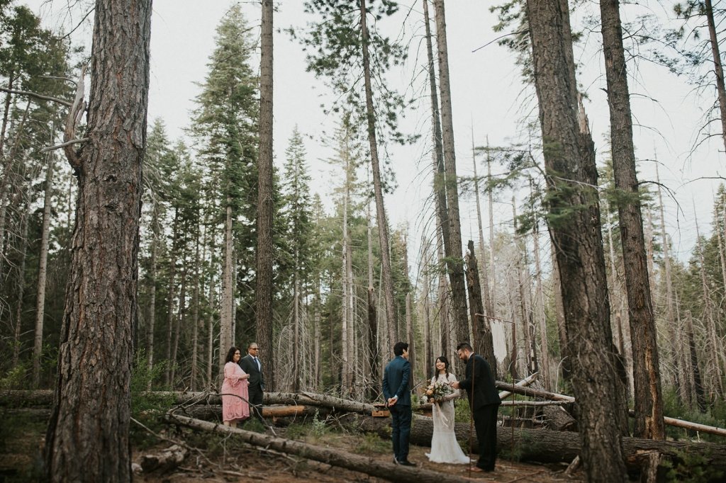 small wedding at Yosemite